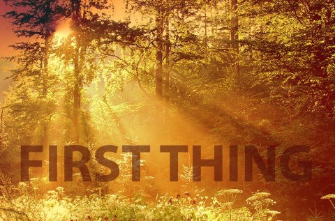 First Thing – Thursday 28 July