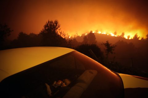 Portugal on high alert for wildfires as temperatures soar