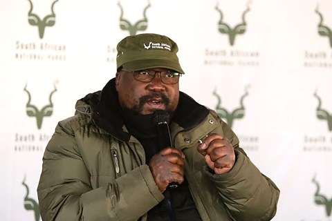 SANParks CEO forced to take special leave after sexual assault allegations