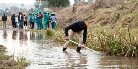 Enviro Champs: Young citizen scientists tackle massive water pollution in Pietermaritzburg