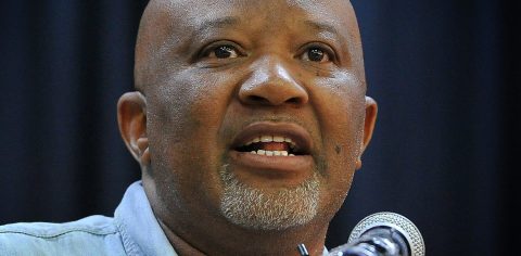 Time for referendum on electoral reform to save our distressed and exhausted country – Mcebisi Jonas