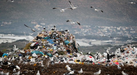 Waste not, want not: Western Cape to ban organic waste from landfills, starting with 50% reduction in 2022