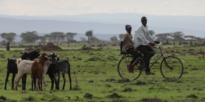 COP26 provides a rare opportunity to address effects of climate change on Africa’s livestock