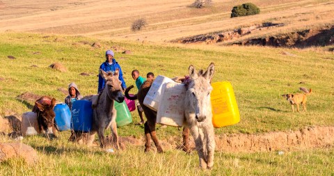 Eastern Cape communities secure a major high court victory on providing water
