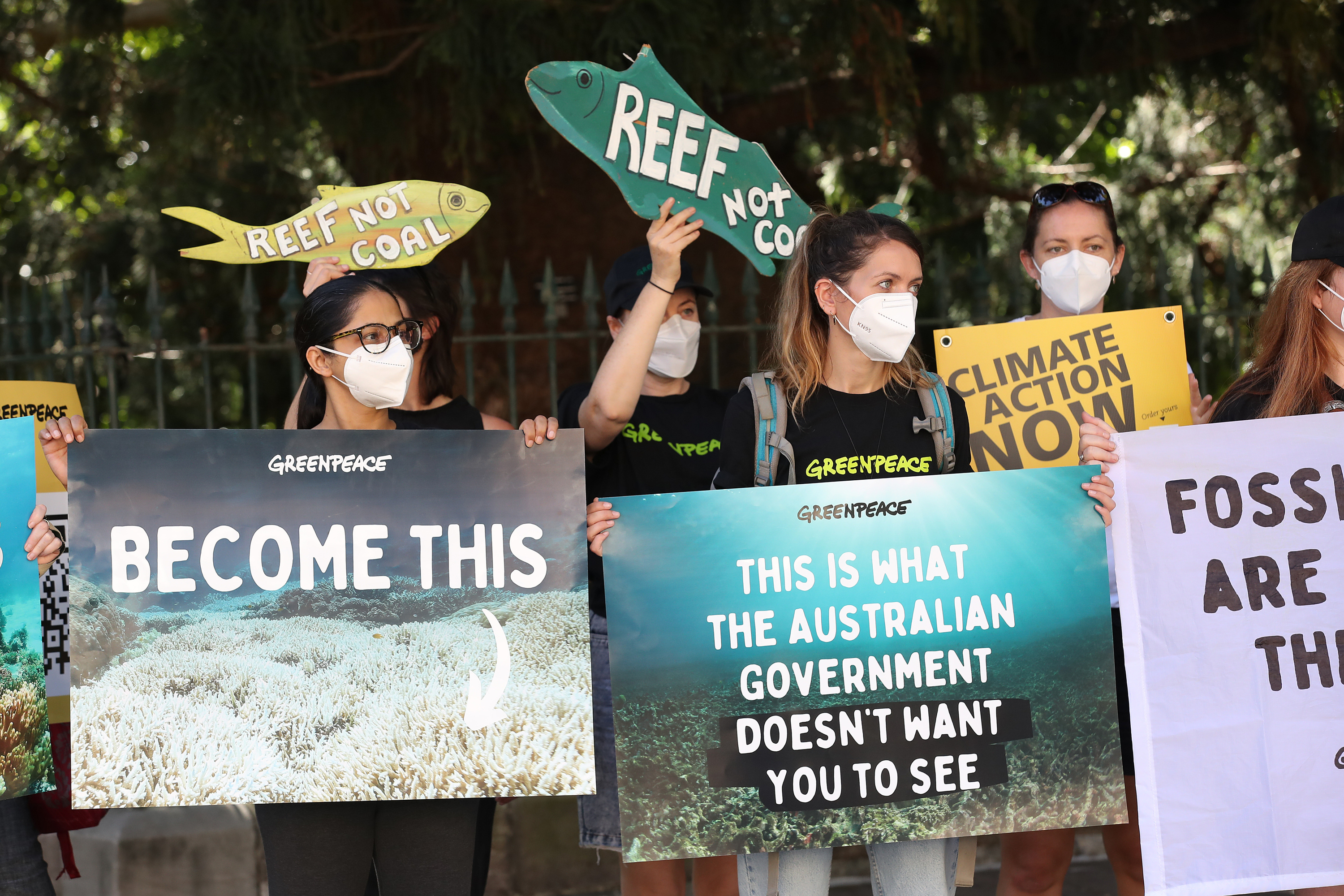 Activists hold signs during a protest to highlight the risk that climate change poses to the Great Barrier Reef, outside Parliament House in Brisbane, Australia.