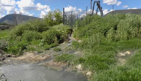 Eastern Cape municipalities pump raw sewage into waterways
