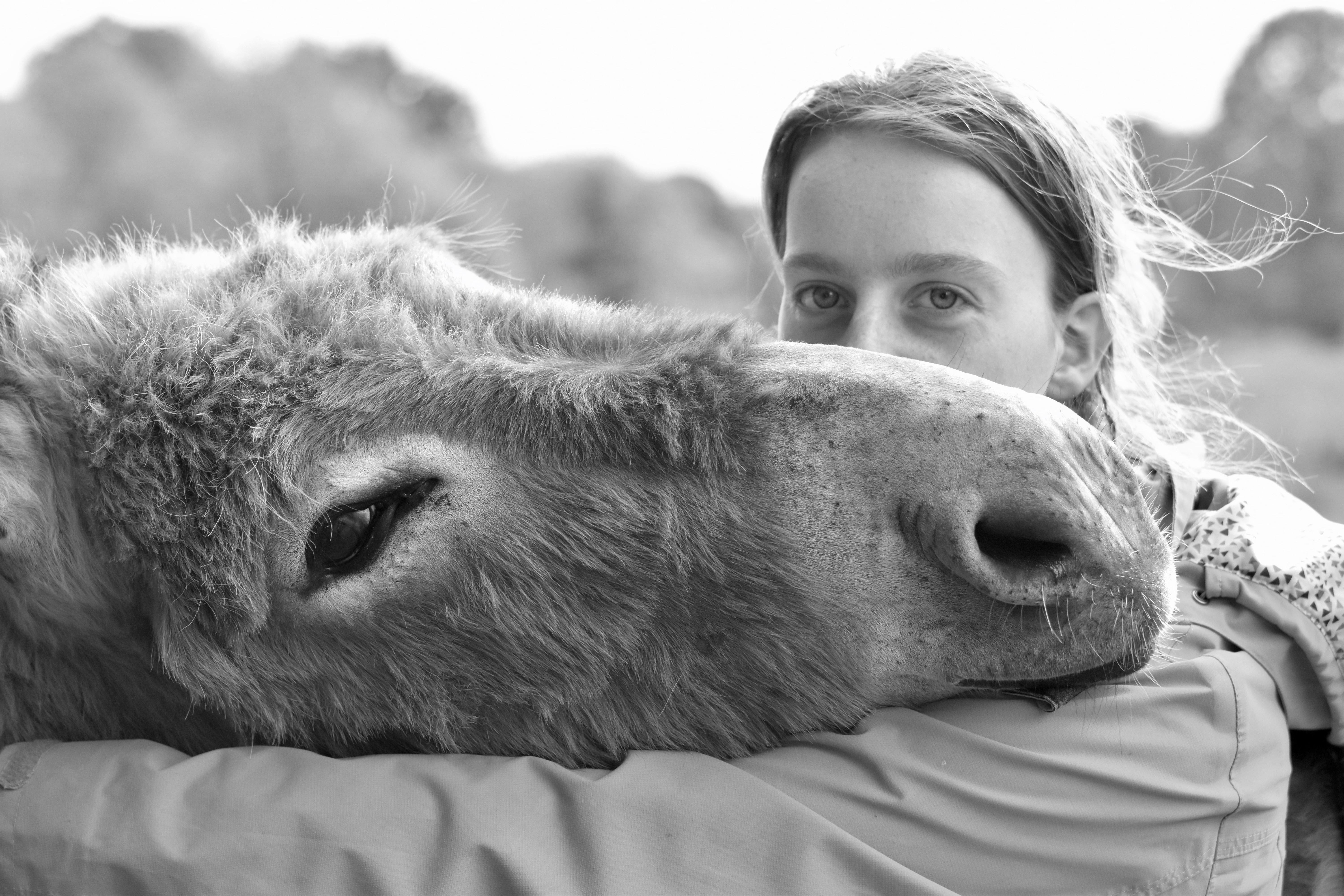 Girl and donkey.
