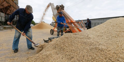 Russia-Ukraine grain export deal promises major benefits for poor countries – if it holds