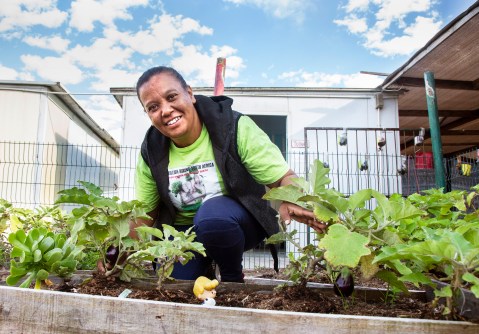 Planting brighter futures in rich soil