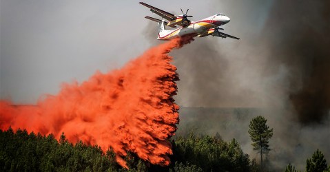 EU plans to speed up procurement of firefighting fleet after summer of climate crises