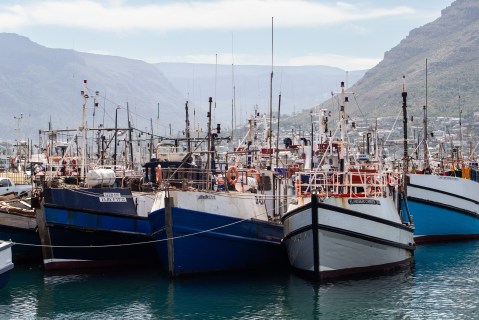 Western Cape fishing quota allocation process to start again after high court judgment