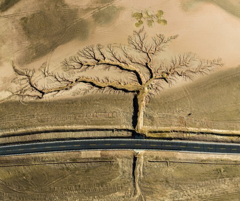 Branching out. On either side of a highway, gullies formed by rainwater erosion span out like a tree in Tibet, an autonomous region in southwest China. To capture this image, photographer Li Ping slept alone in a roadside parking lot overnight before using a drone in the early morning hours to photograph this natural landscape. © Li Ping/TNC Photo Contest 2022