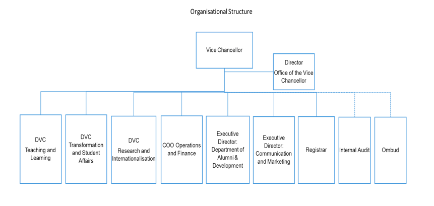 UCT: Organisational structure