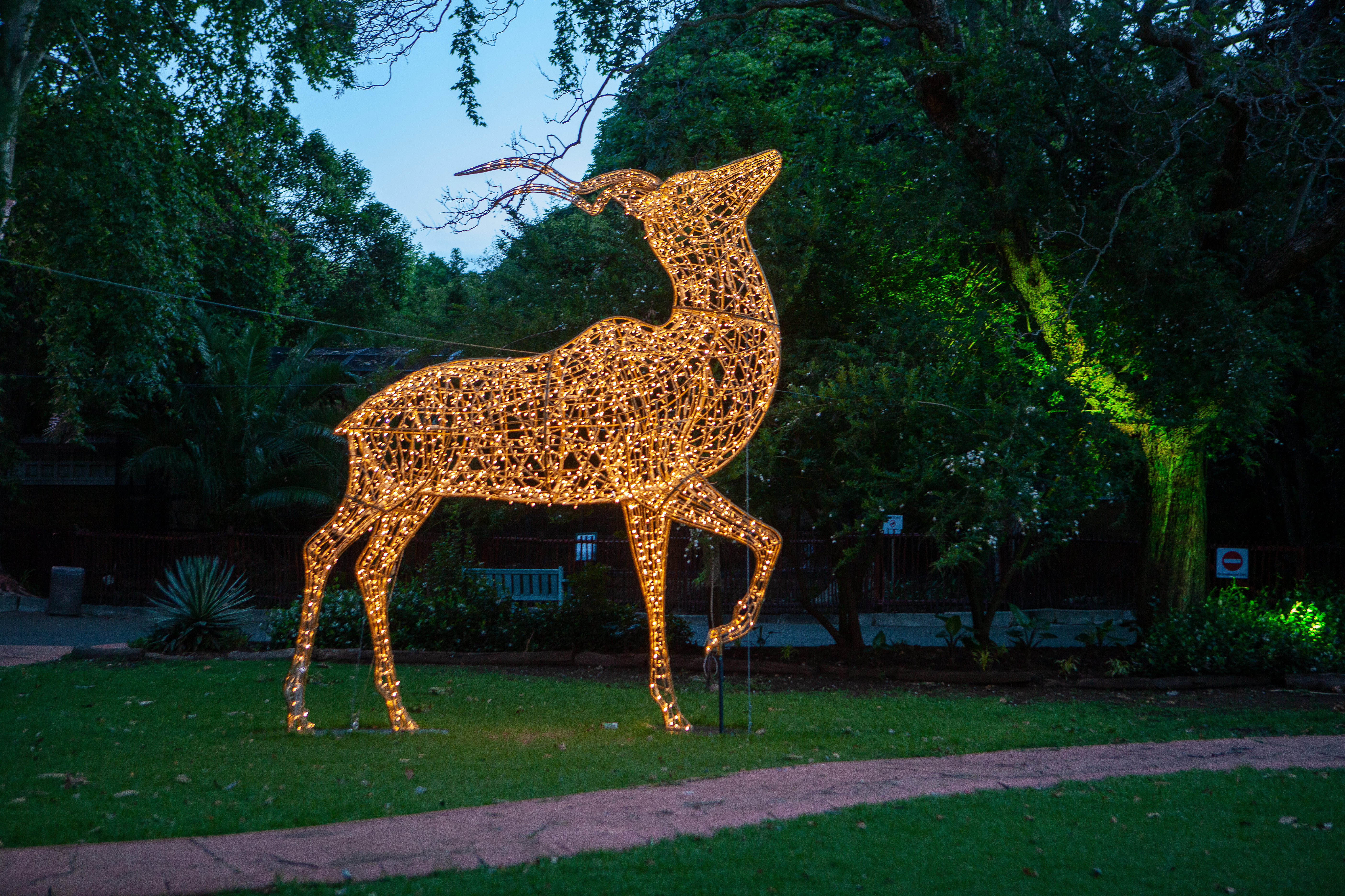 JOHANNESBURG, SOUTH AFRICA - DECEMBER 14: Magical Festival of Lights at the Joburg Zoo on December 14, 2021 in Johannesburg, South Africa. The Joburg Zoo hosted the event in partnership with the Joburg Theatre and City Power. (Photo by Gallo Images/Papi Morake)