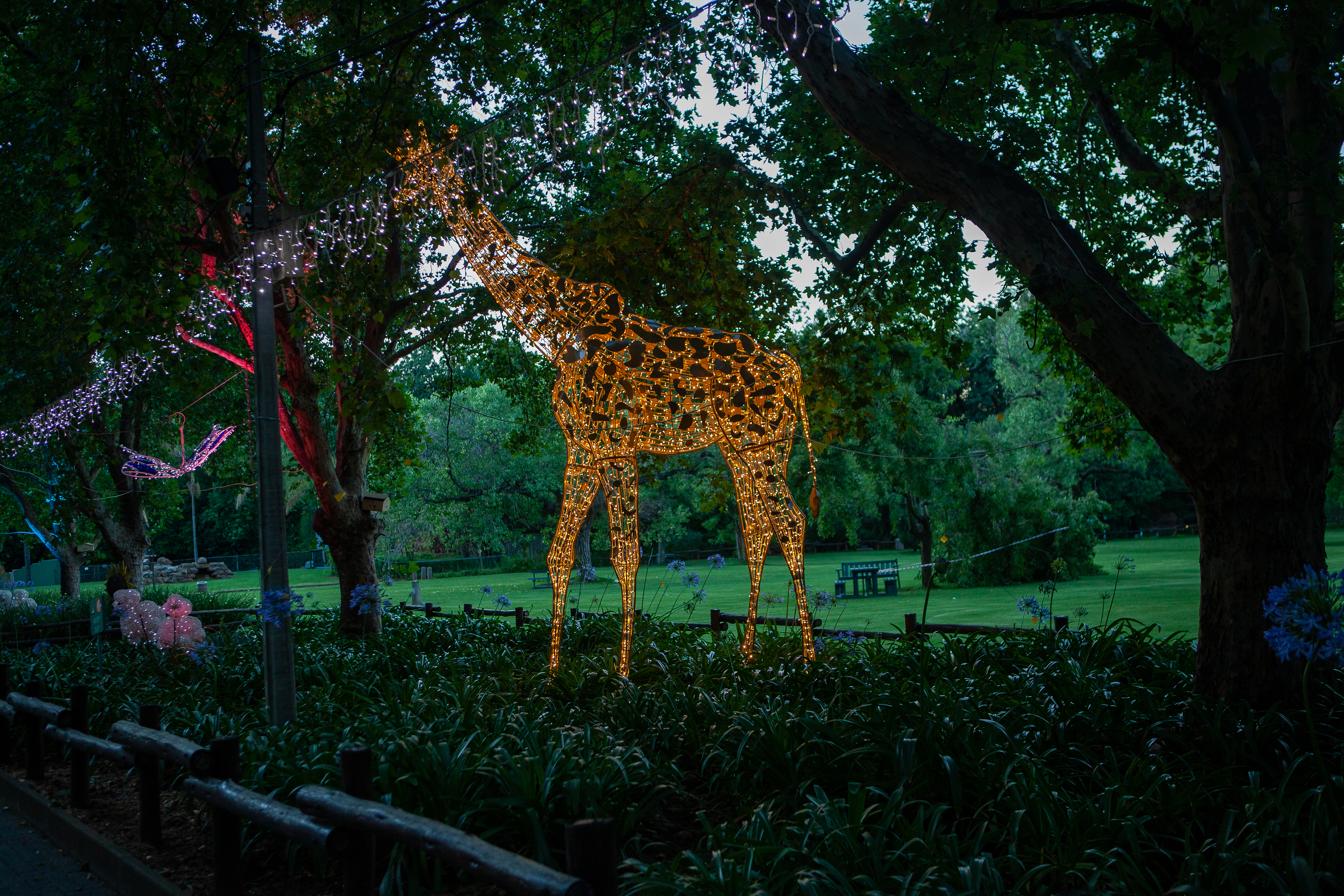 JOHANNESBURG, SOUTH AFRICA - DECEMBER 14: Magical Festival of Lights at the Joburg Zoo on December 14, 2021 in Johannesburg, South Africa. The Joburg Zoo hosted the event in partnership with the Joburg Theatre and City Power. (Photo by Gallo Images/Papi Morake)