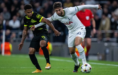 Tottenham Hotspur face one final hurdle to qualify for Champions League knockout