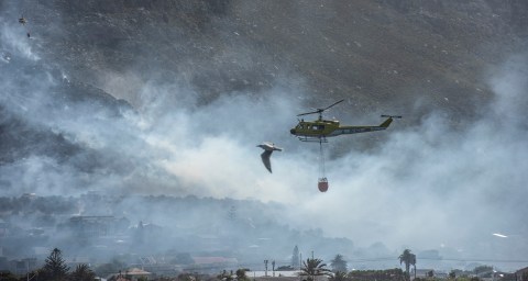 Swift reaction contains Cape Town wildfire on Boyes Drive within an hour