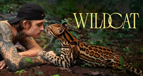Wildcat review: rehabilitating a soldier and a jungle cat