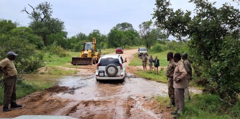 Extreme rainfall wreaks havoc in Kruger National Park, Limpopo and Eastern Cape