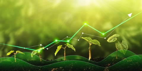 The great green reset of SA’s economy demands urgent and essential action
