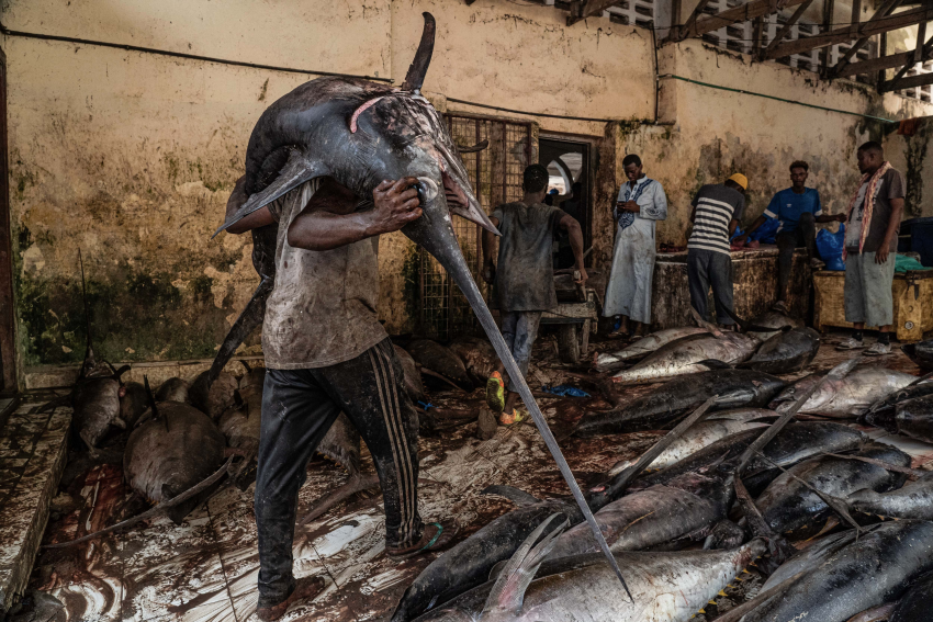 A man carries a large fish through the auction area of the Hamar Weyne fish market. The Hamar Weyne fish market, in the heart of Mogadishu, is a vital hub for the fish trade. Located just a few metres from the old port, it is the busiest and most important fish market in the city, with hundreds of fishermen relying on it to sell their catch. Despite the challenges posed by the ongoing civil war and a lack of investment in the sector, the market remains a key source of employment and economic activity. © Tariq Zaidi, United Kingdom, Finalist, Professional competition, Documentary Projects, Sony World Photography Awards 2023