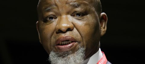 Mantashe warns against ‘encirclement’ by developed countries, chides environmental activists