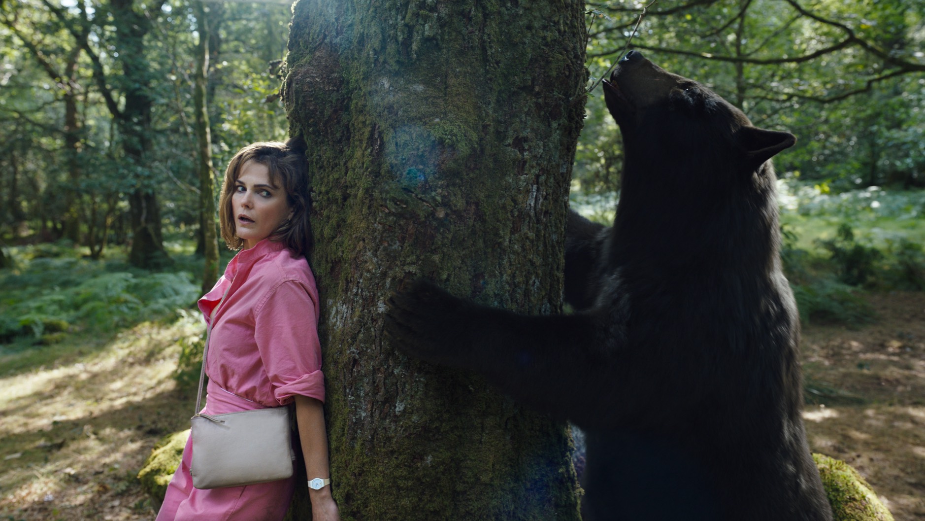 Production still of 'Cocaine Bear'. Image: courtesy of Universal Pictures