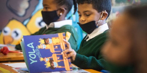This week – launch of literacy 2021 report, World Bee Day and talk on electricity in care provision