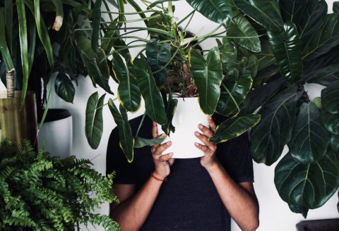 Pretty powerful – How plants can improve your state of mind