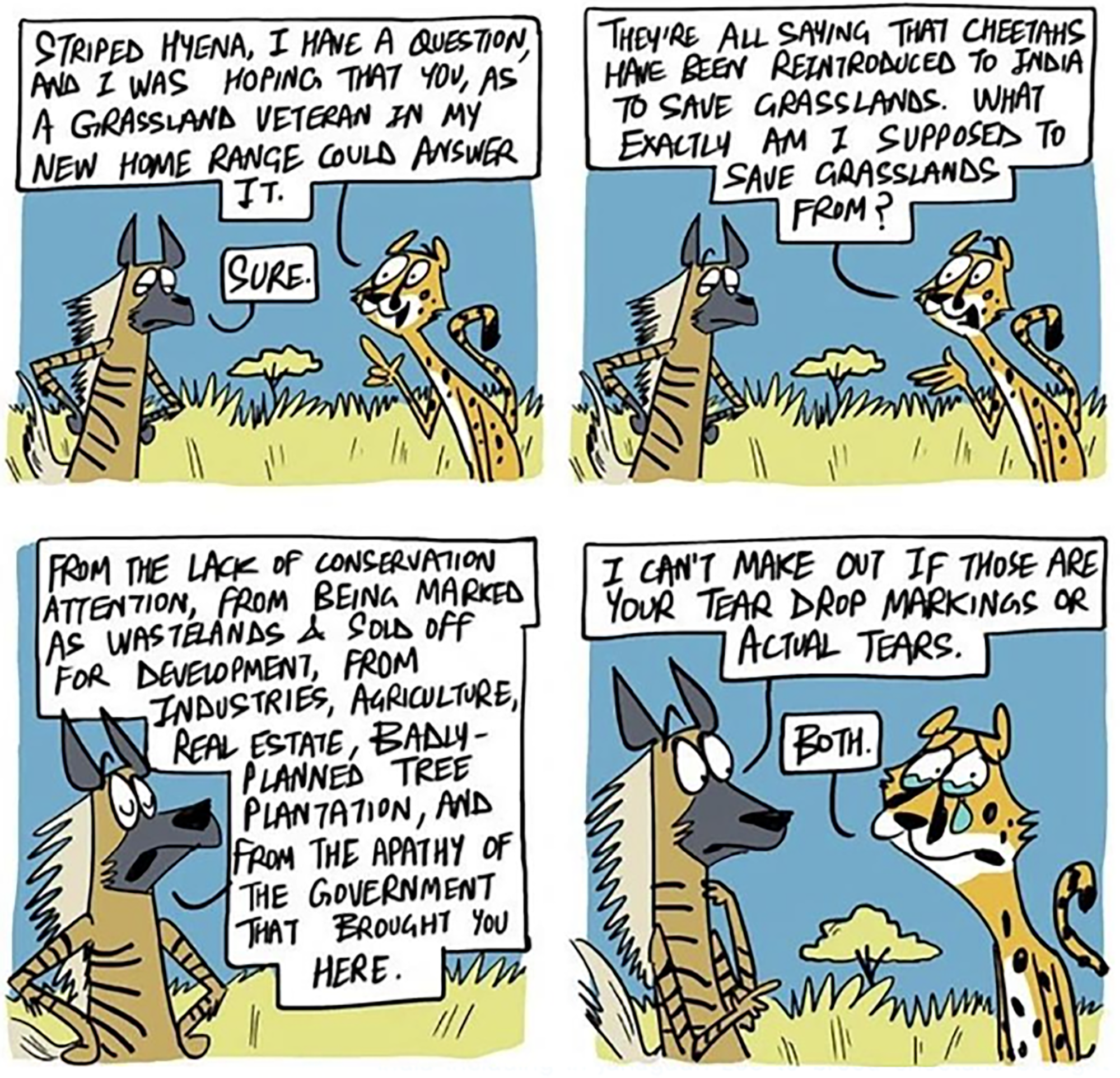 India News cartoon, cheetahs