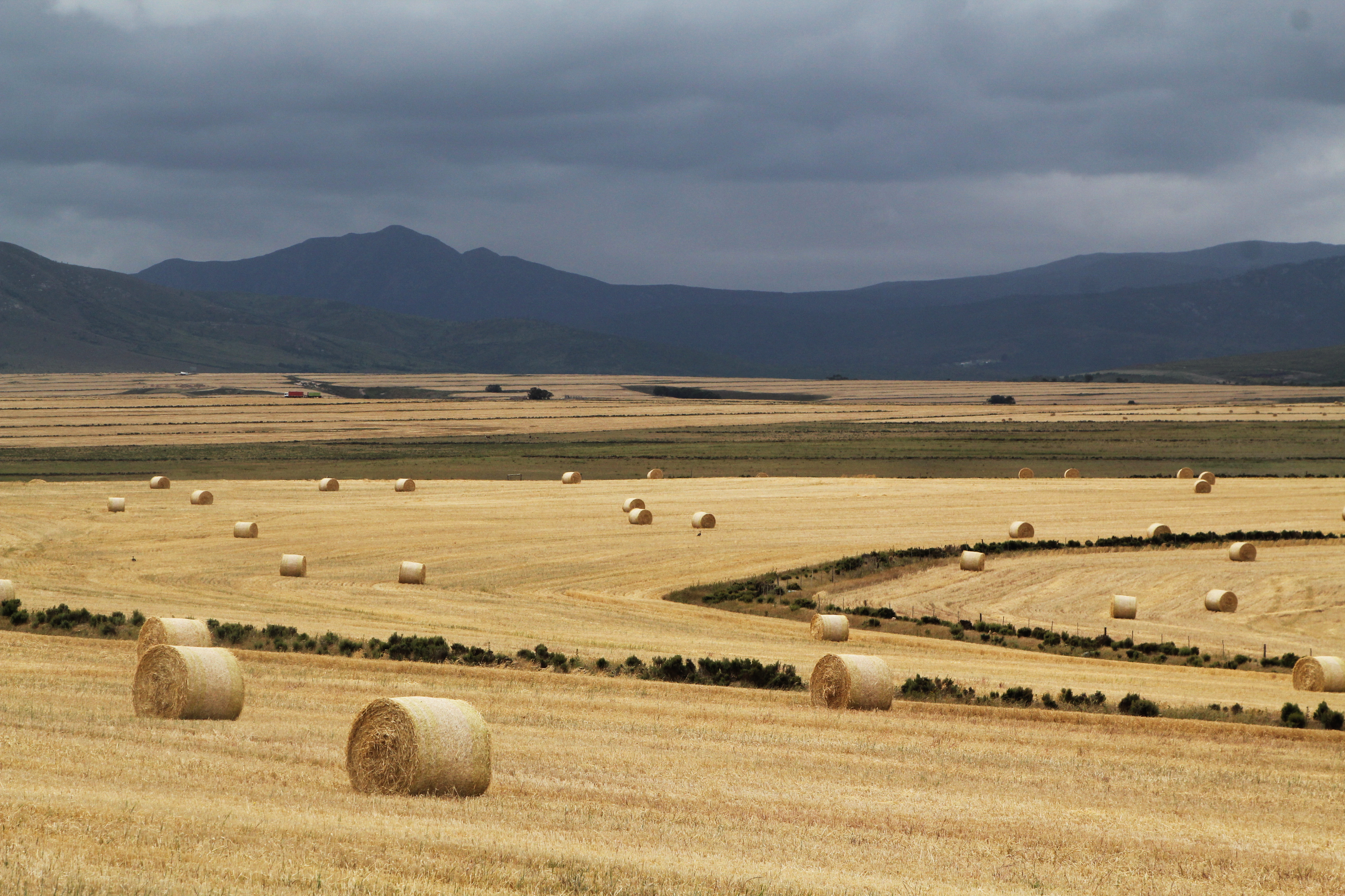 Inland Overberg is all about wheatfields, brooding mountains and canola. Photographer: Chris Marais