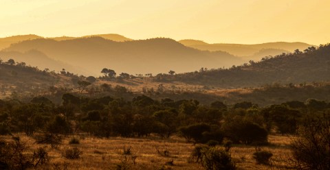 Pilanesberg’s new luxury venture joins the drive to grow conservation space
