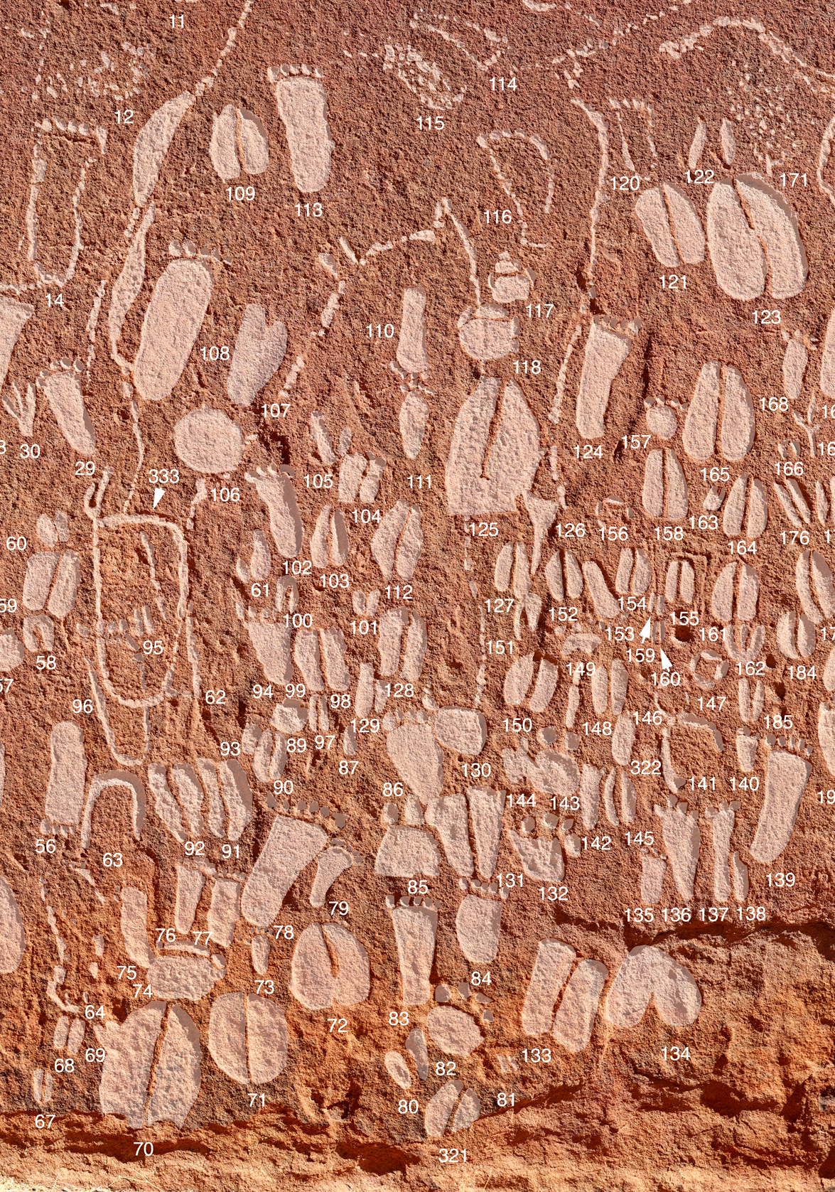 rock art, Namibia
