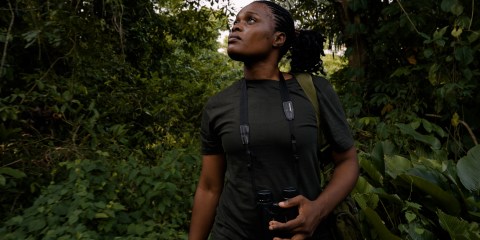 How a coincidental wildlife conservationist is working to save rare chimps and monkeys in Nigeria