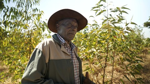 Conservationist Douglas Mafukidze champions an alternative approach to tobacco farming in Zimbabwe