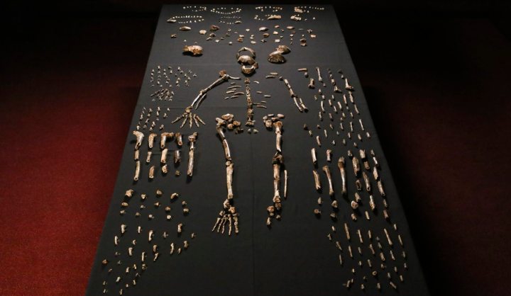 Meet the neighbours – Homo naledi’s coming out party