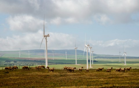Barbara Creecy upholds appeal against giant West Coast wind farm
