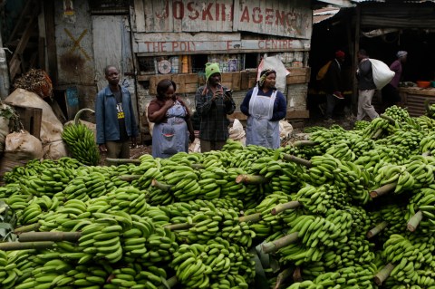 Investing in agriculture could help Kenya fight food insecurity