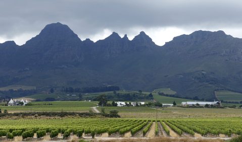 South African wines could be smoked out by fire and lack of rain