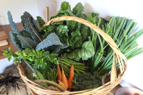A basket of pastoral goodness, off the grid