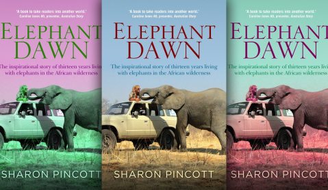 Elephant Dawn: The high cost of hanging out with elephants