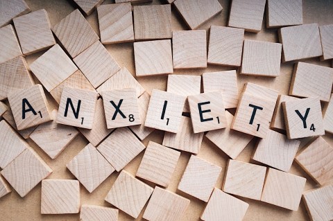 Fight, flight or freeze – recognising and understanding anxiety