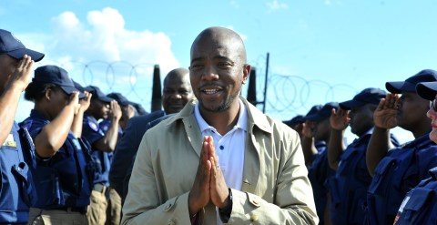 Mmusi Maimane as choice for Western Cape Premier would expose weakness of DA bench