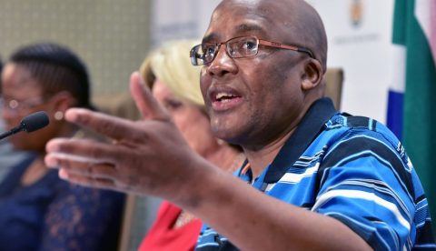 Motsoaledi asks Treasury to investigate Buthelezi EMS
