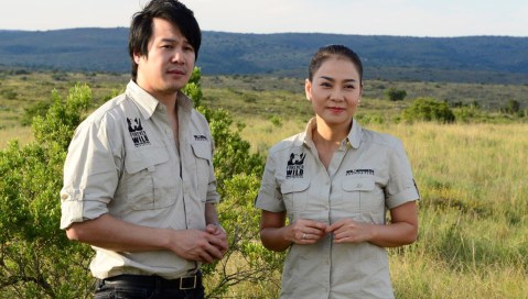 The sweet sound of saving rhinos – with song
