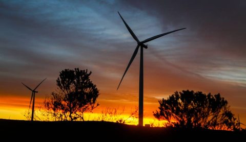 Stop-start government approach puts a spoke in the wheel of renewable energy boom