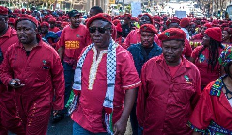 Firebrand Malema fights for land revolution in S. Africa