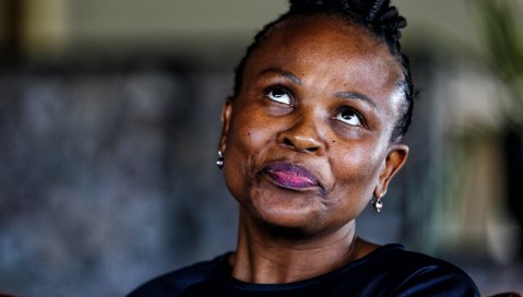 Public Protector hears of failed promises in Estina dairy scandal