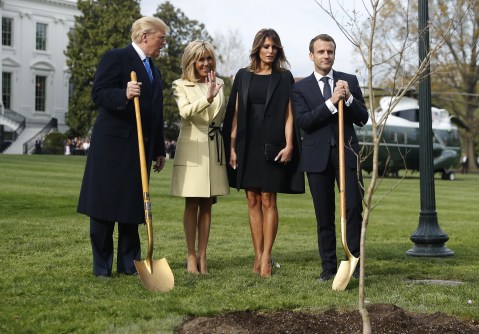 Trump and Macron planted a tree — but where did it go?