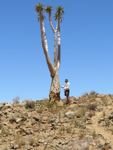 A botanist watches evolution and extinction play out in Richtersveld